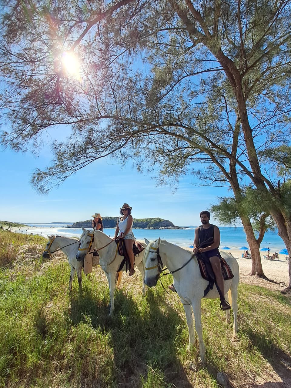 Alternative Tour | Passeio a Cavalo — foto 5