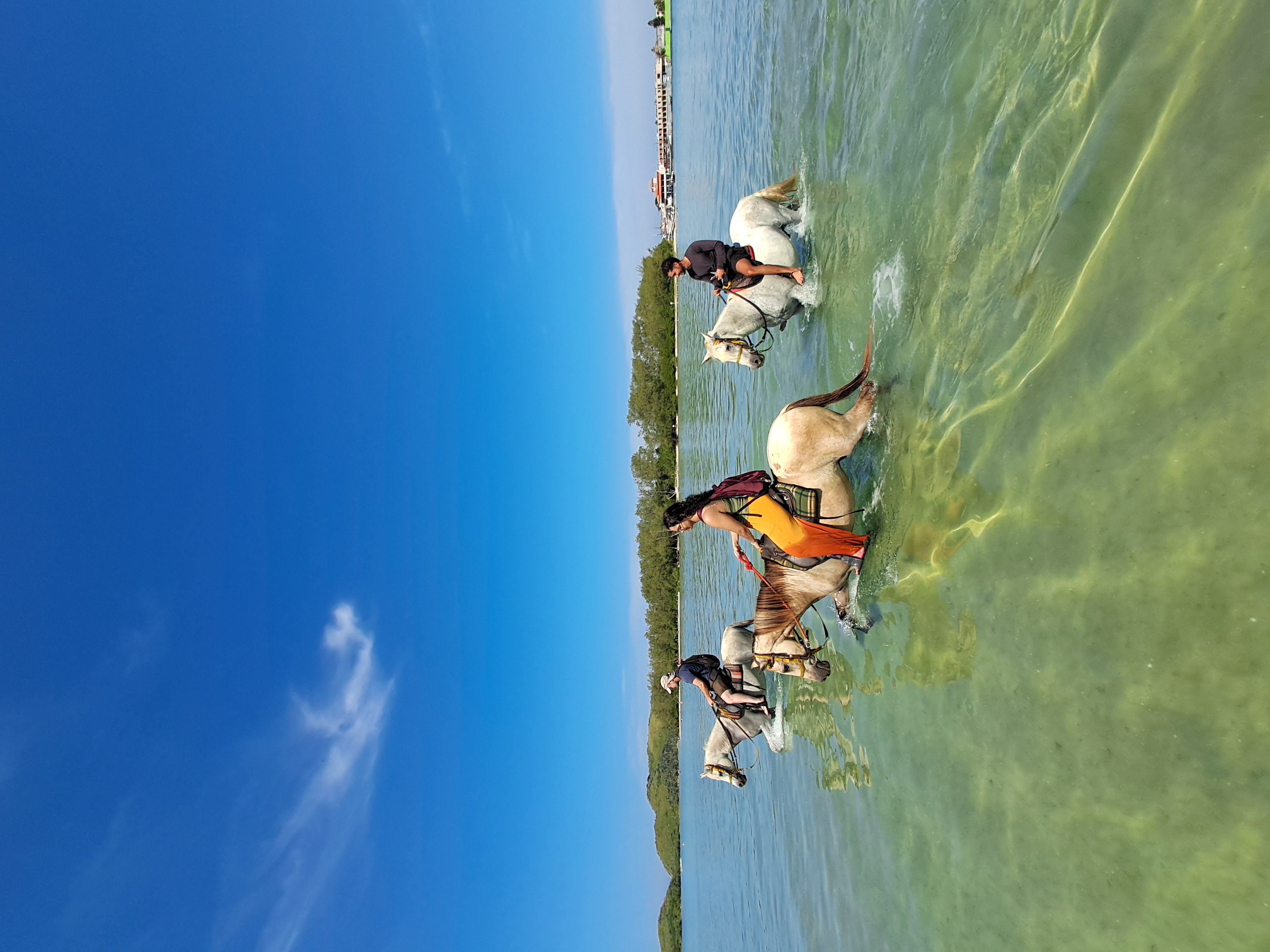 Alternative Tour | Passeio a Cavalo — foto 3