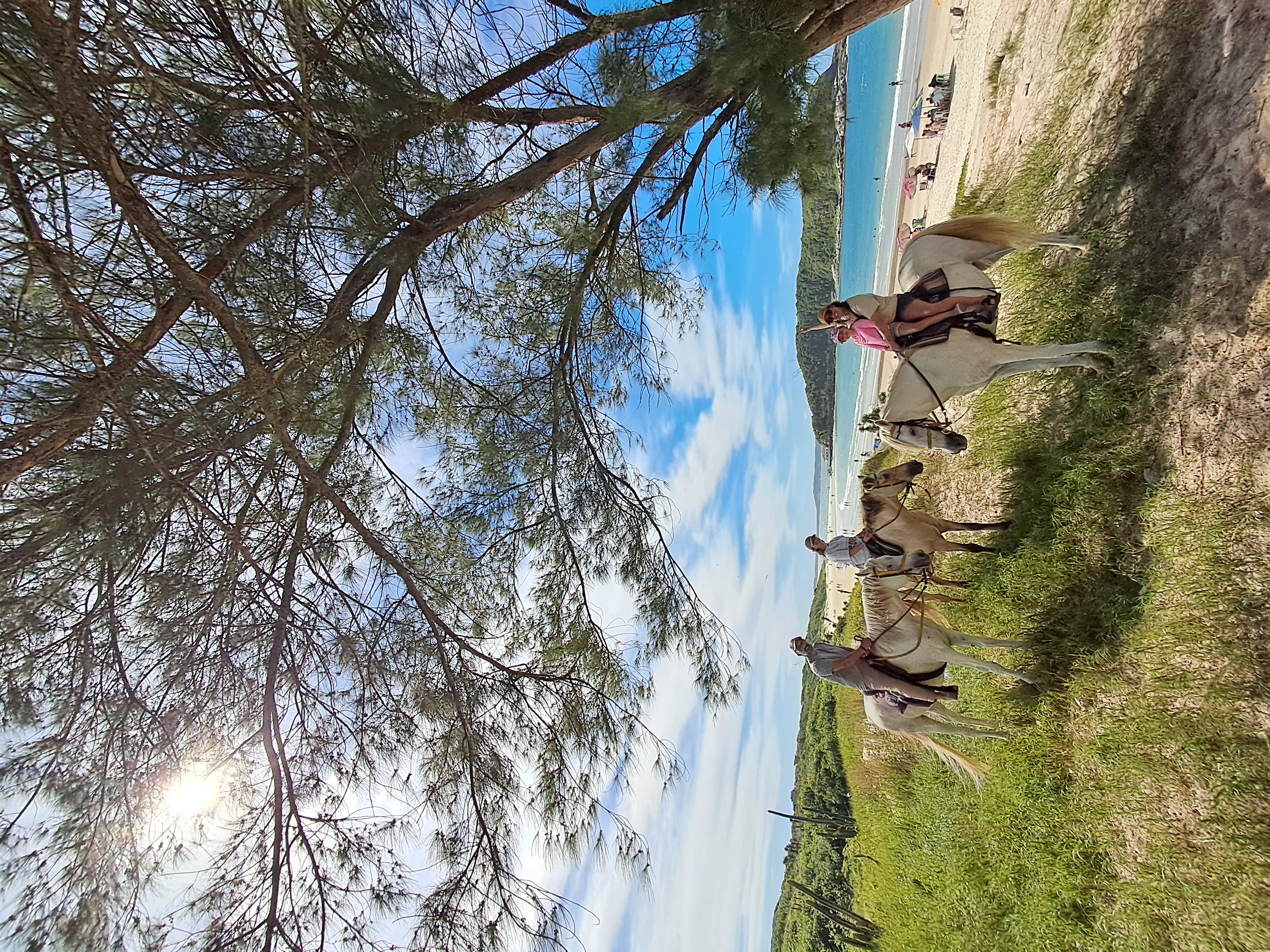 Alternative Tour | Passeio a Cavalo — foto 15